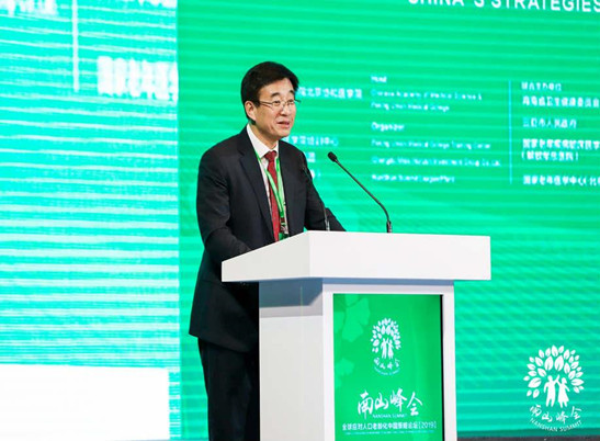 海南气候能治病,100多万“候鸟老人”奔它来