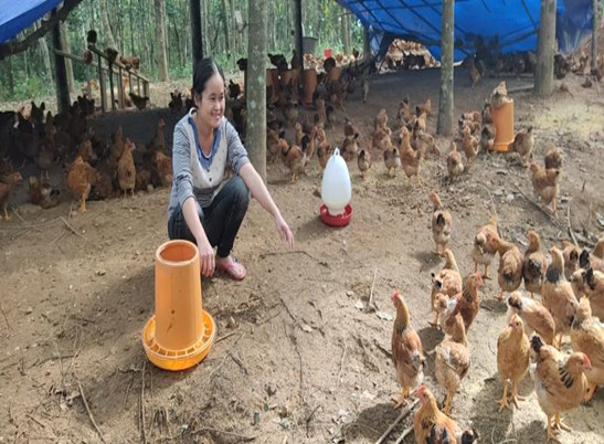 送蛋不如教养鸡 ——海南省肿瘤医院扶贫故事