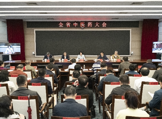 海南省委书记、代省长对全省中医药大会作批示