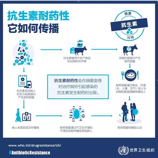 还在滥用抗生素?小心无药可用!