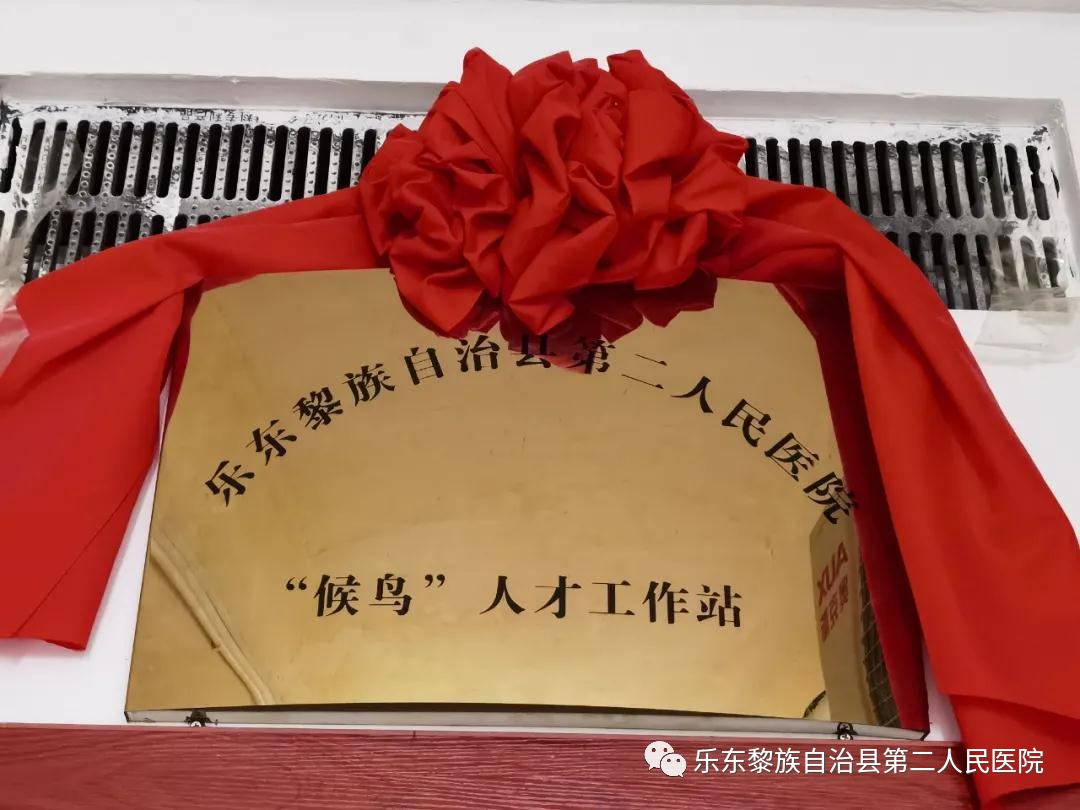 乐东县第二人民医院获评优秀县级“候鸟”人才工作站