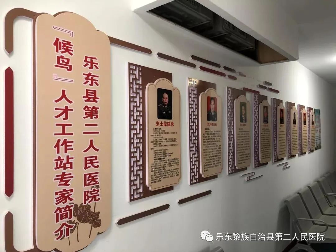 乐东县第二人民医院获评优秀县级“候鸟”人才工作站