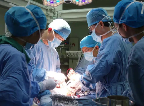 海南省人民医院多学科开展省内首例腹主动脉瘤及结肠肿瘤同期手术
