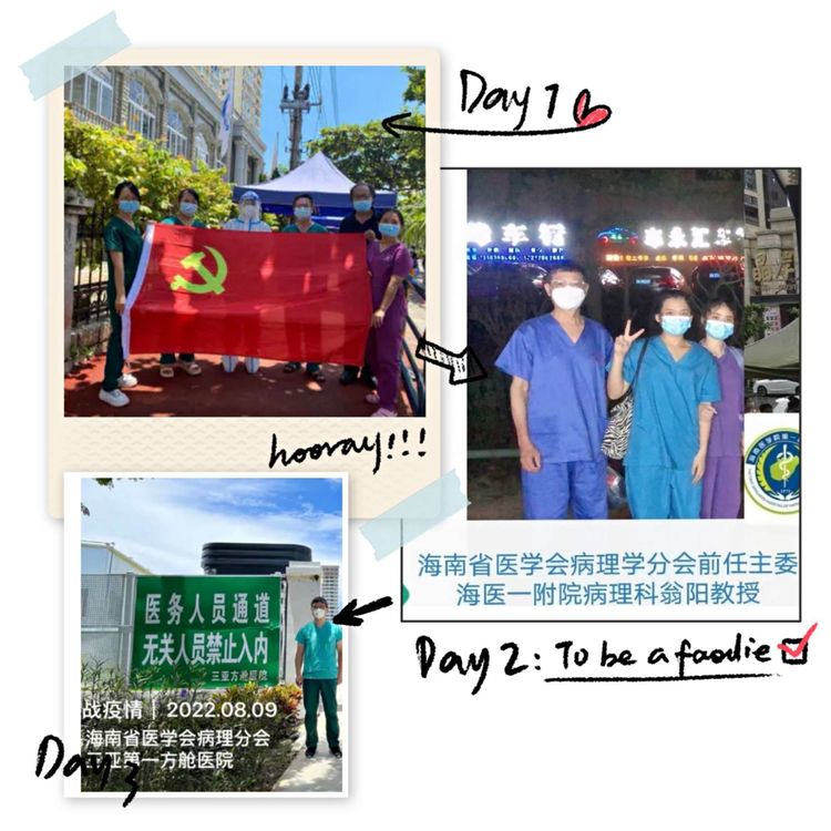凝心聚力共抗疫，责任担当显风采——海南省医学会抗疫纪实