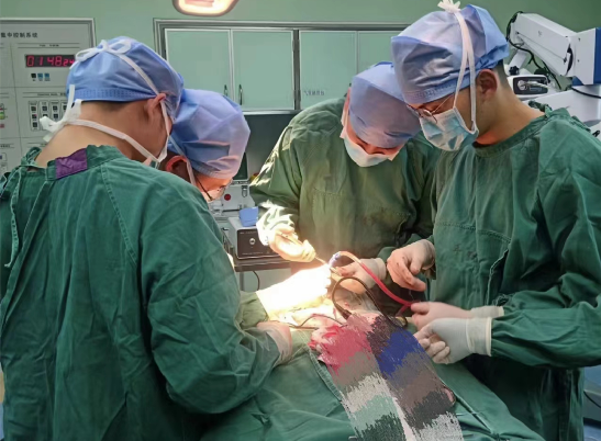 保亭医疗集团“全闭环”救治危重症脑出血患者