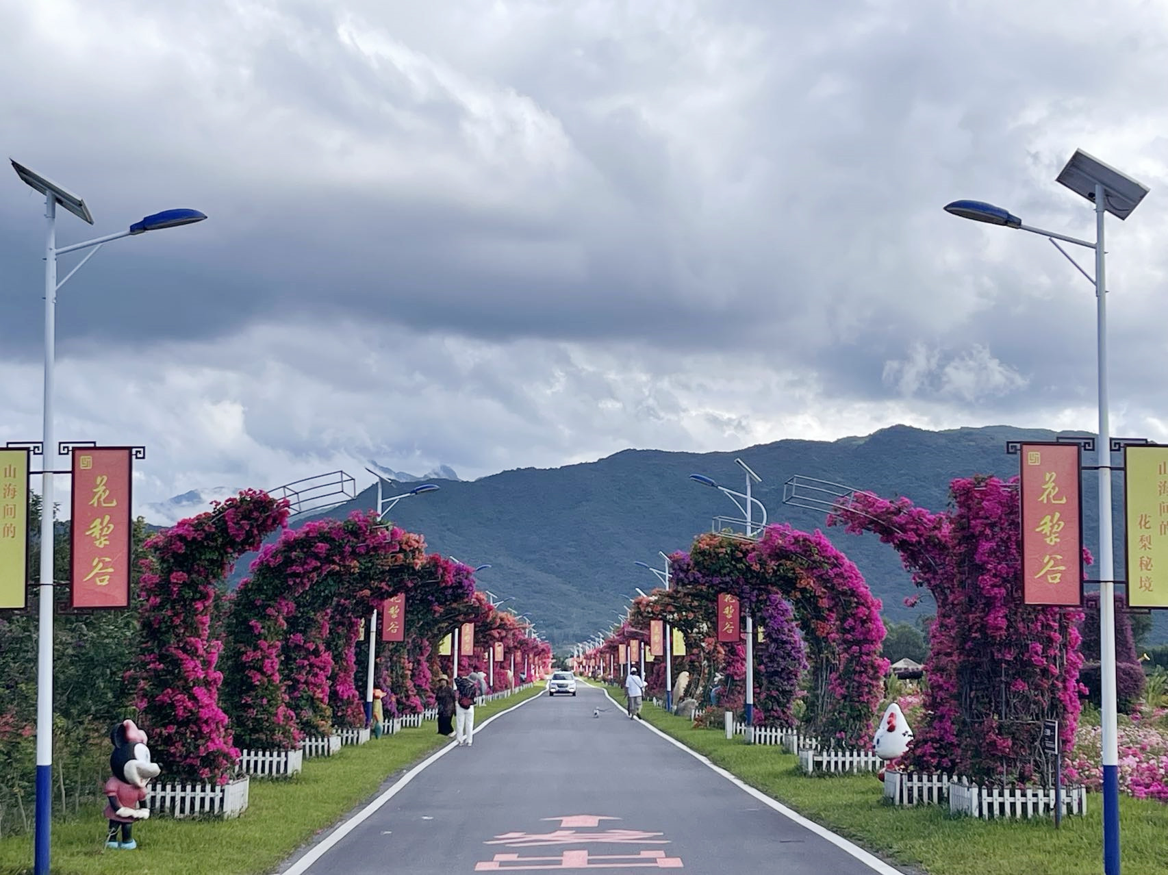 海南省健康产业促进会赴花梨谷文化旅游区考察