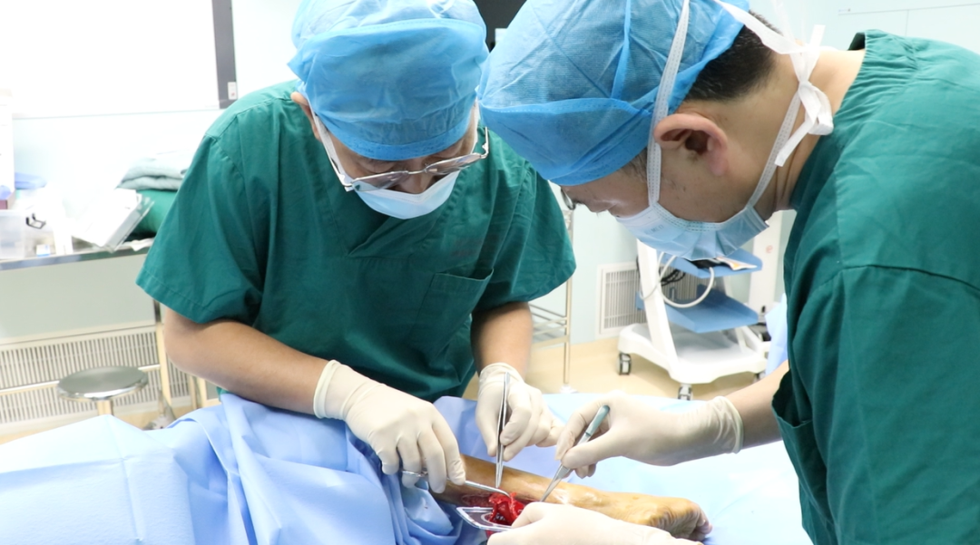 国内首次临床应用！烧伤与皮肤修复外科开展创新伤口治疗技术