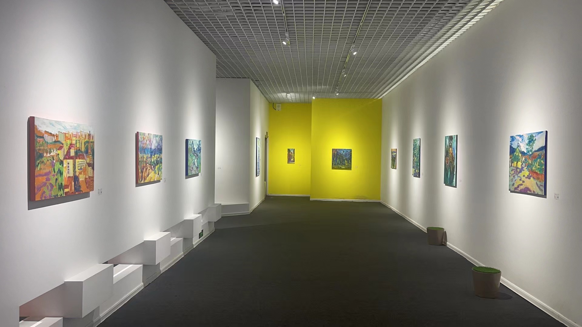 日光明照下的多维艺术 冯桂兰油画展在海口举办