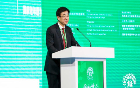 海南气候能治病，100多万“候鸟老人”奔它来