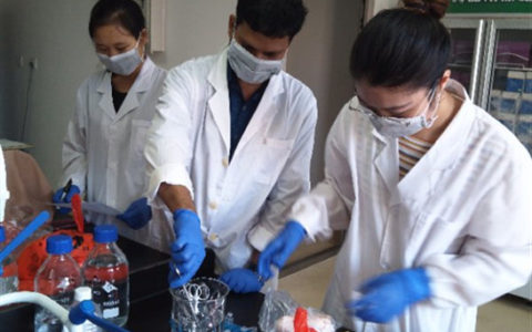 海大生命科学与药学院师生全力支援抗击非洲猪瘟