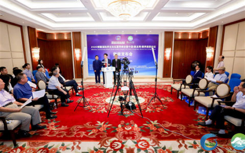 博鳌国际养生论坛夏季峰会缘何“花落”吴川鼎龙湾？