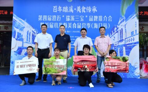 第四届澄迈“瑞溪三宝”品牌推介会 “粽”情相约海口