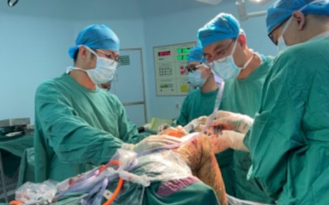 海医一附院成功实施膝关节内侧单髁置换联合人工前交叉韧带重建术