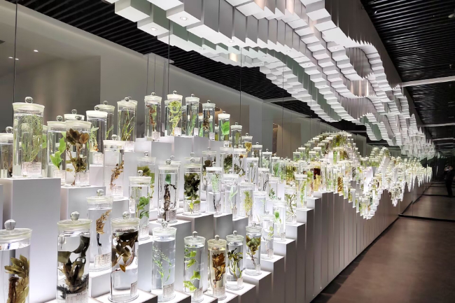 巴山蜀水中医药服务“触手可及”走进国家中医药综合改革示范区四川:巴山蜀水中医药服务“触手可及”