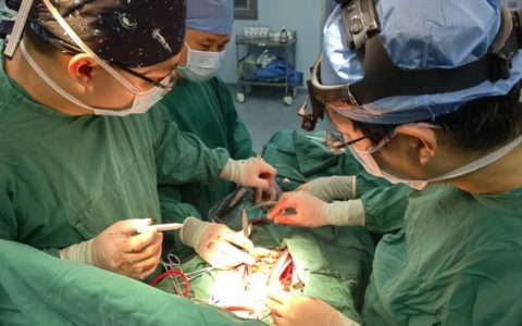 海医二院完成省内首例主动脉瓣修复术