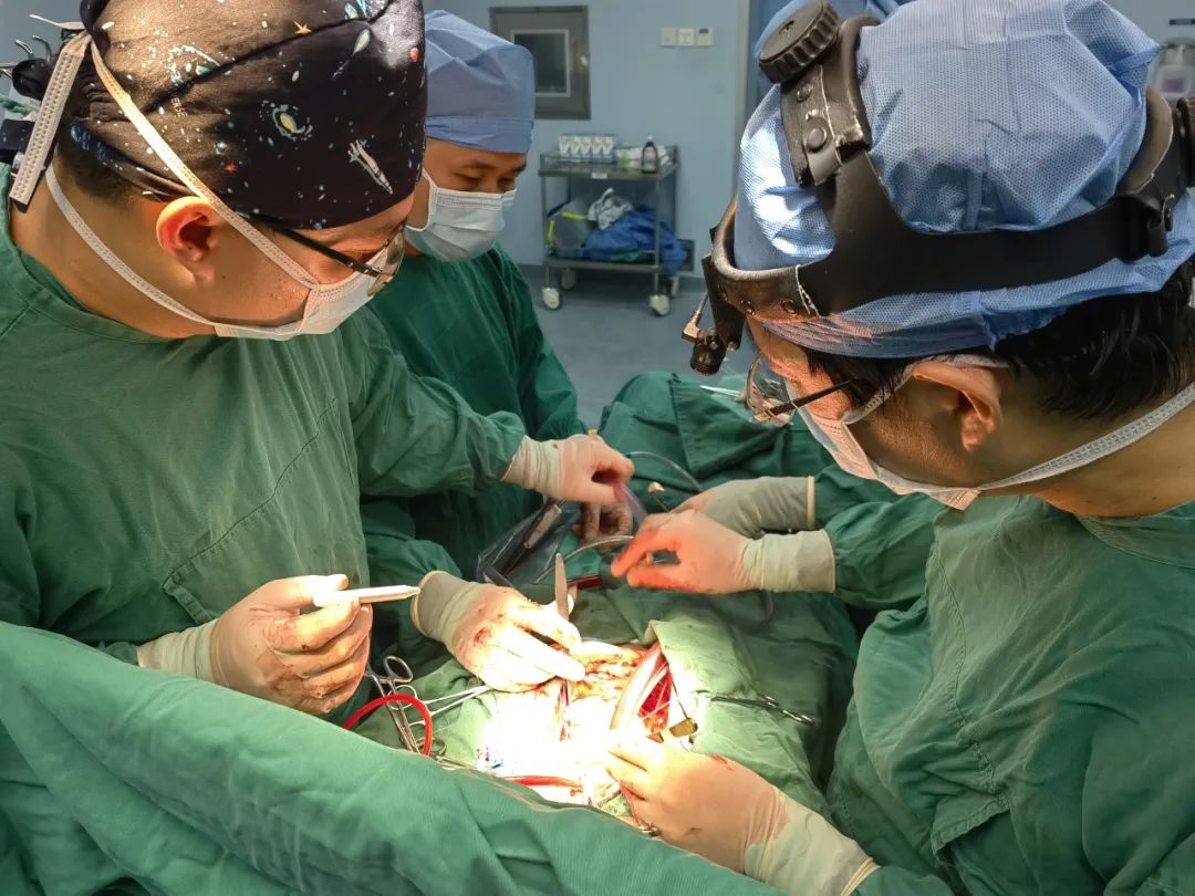 海医二院完成省内首例主动脉瓣修复术