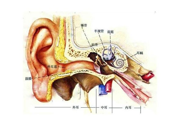 耳朵不能经常挖！保护耳朵有方法
