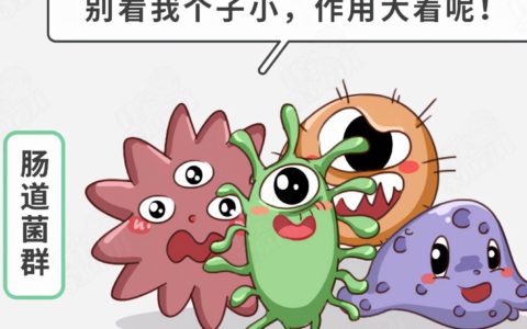 双歧杆菌：肠道健康的“平衡大师”