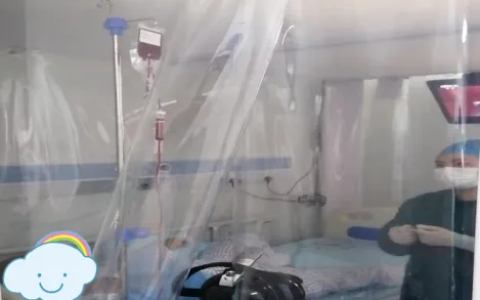 海医一附院成功救治“熊猫血”淋巴瘤女孩，完成自体外周血造血干细胞移植