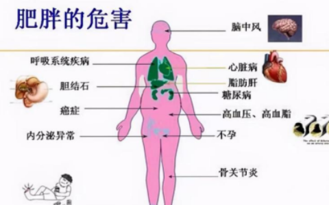 中医帮您轻松“吃”瘦！