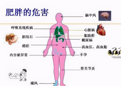 中医帮您轻松“吃”瘦!