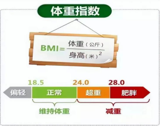 中医帮您轻松“吃”瘦!