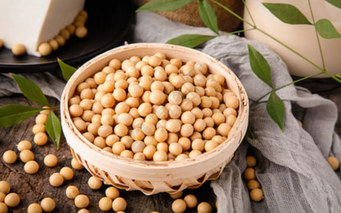 什么是蛋白质互补作用？