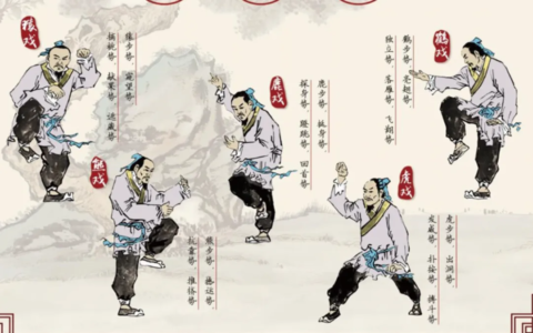 海南医学院第二附属医院整复外科正式开科