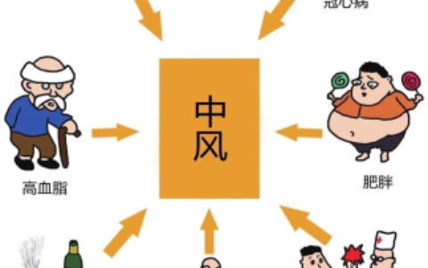 海南省数智化商业健康保险平台项目启动