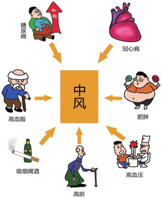 脑卒中:认识它,预防它