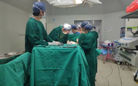 这个“糖宝”能不能留？ 党建引领——党支部联合、跨城双向共同管理“糖妈”