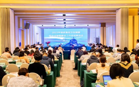 东方：一个集团管全市   打造基层卫生发展“东方模式”