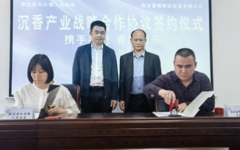 加乐镇吹响沉香产业乡村振兴号角