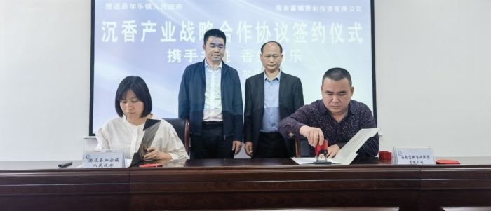 加乐镇吹响沉香产业乡村振兴号角