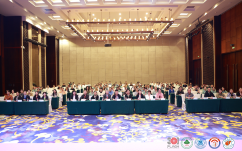 解放军总医院海南医院成功举办第八届海棠超声论坛