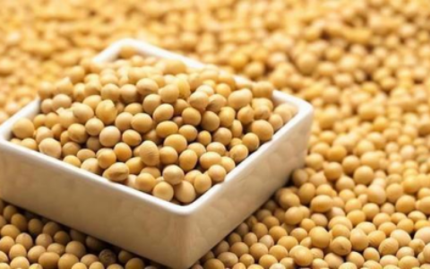 尿酸偏高/痛风人群能吃豆制品吗？真相来了！