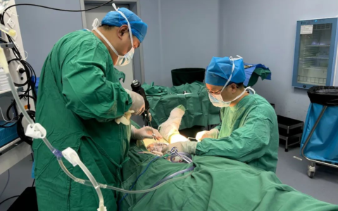 胫骨横向骨搬移术：糖尿病足患者的新希望