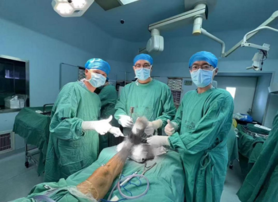 海南首次!海南医科大学第一附属医院自主完成3D-PSI辅助下人工全踝关节置换术