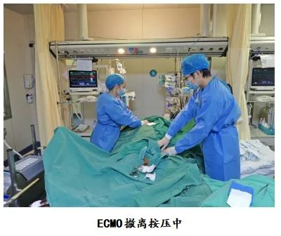 “魔肺“：让呼吸不再窘迫——记海医二院急诊科VV-ECMO成功救治高龄重度ARDS患者一例