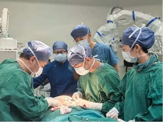 超显微技术“点亮”记忆！海南省人民医院成功开展阿尔茨海默病患者淋巴静脉吻合术