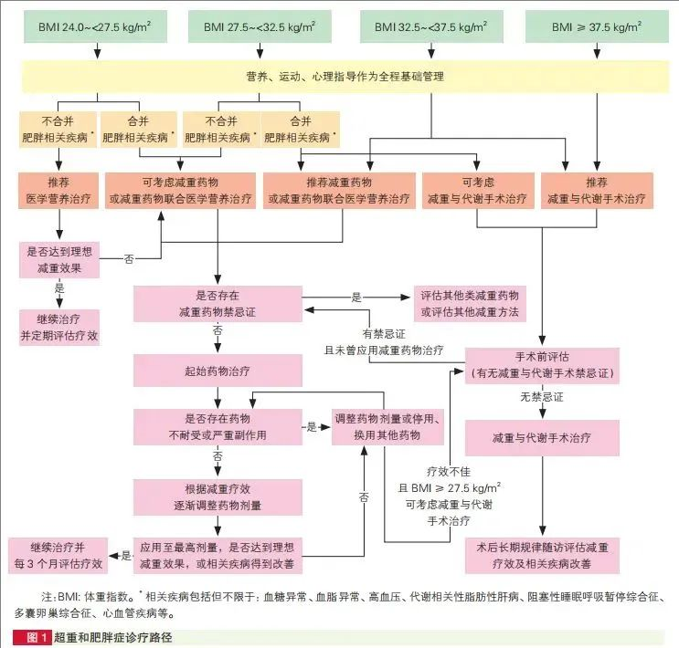 海南省人民医院体重管理多学科门诊开诊啦！