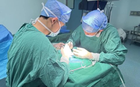 海医二院手足显微外科5指离断再植成功