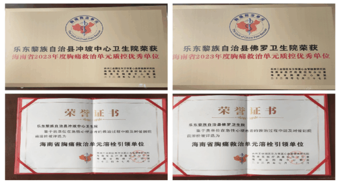 乐东县第二人民医院成功通过国家胸痛中心基层版再认证
