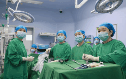 卵巢冷冻+卵子体外培养！为15岁重度“地贫”少女保留当妈的权利