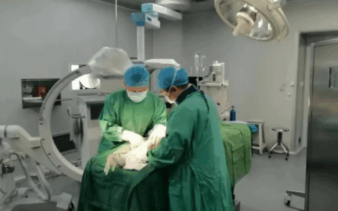 乐东黎族自治县人民医院微创手术发展纪实：微创之光，照亮生命健康之路