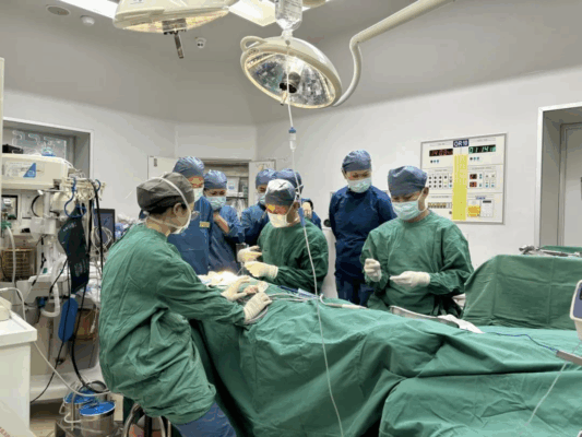 2个月的她呼吸困难、血氧低至83%！多学科团队成功救治实现“大病不出岛”