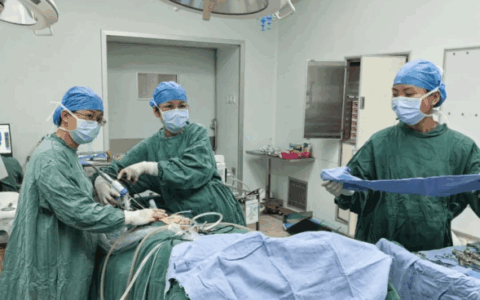 海南省人民医院定安分院成功实施首例单孔腹腔镜手术