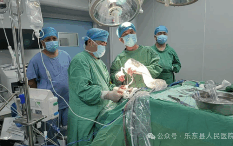 微创技术创奇迹！乐东黎族自治县人民医院/海医二院乐东分院开启脑出血治疗新篇章