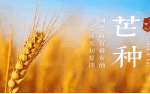 节气养生–“芒种”节气