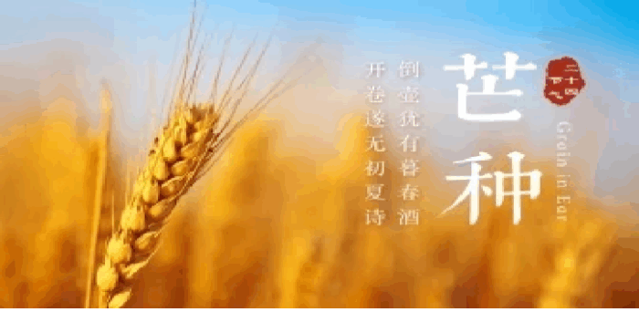 节气养生--“芒种”节气